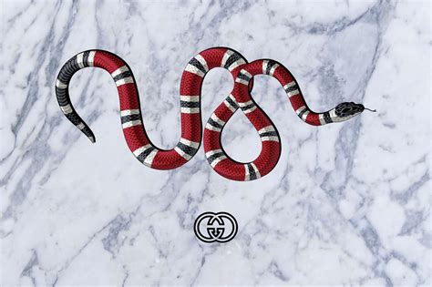 gucci snakes on a plane|gucci snake shape.